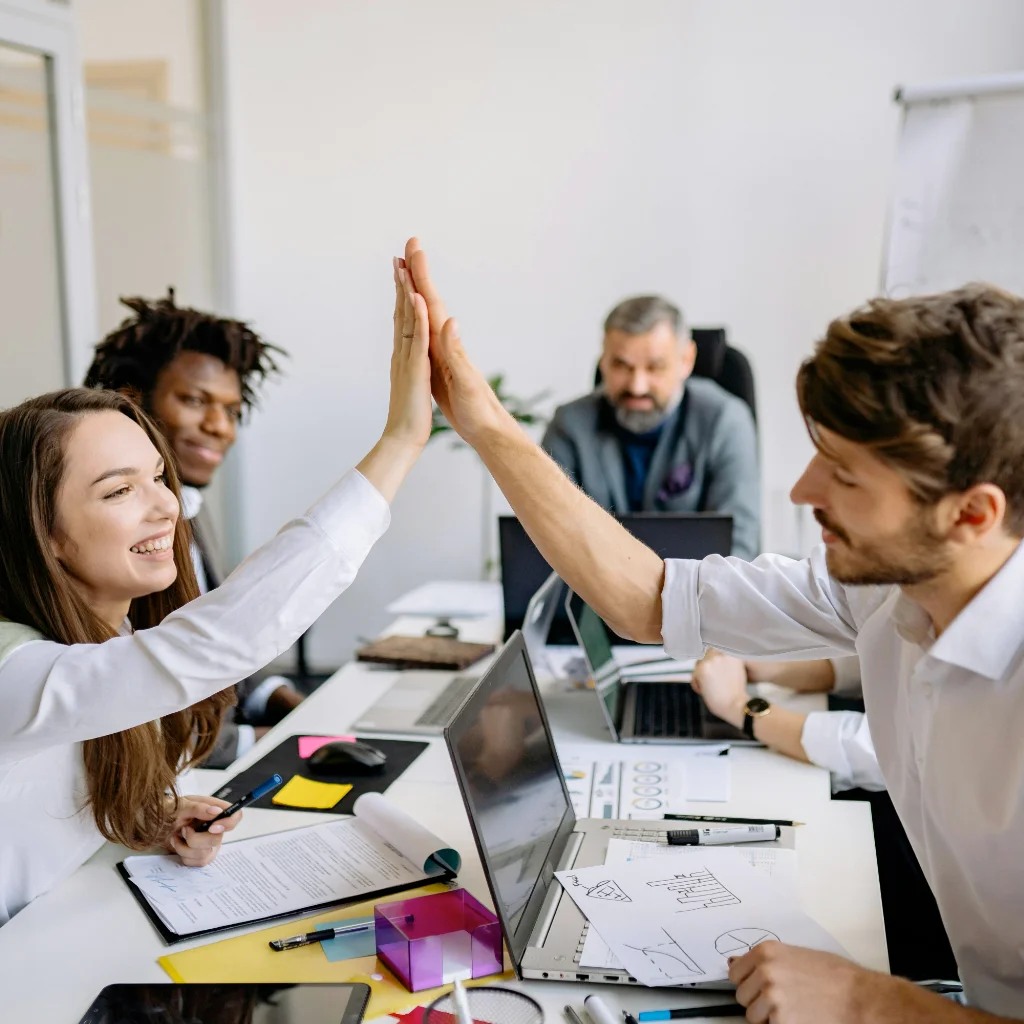 About Dimeglio Enterprises